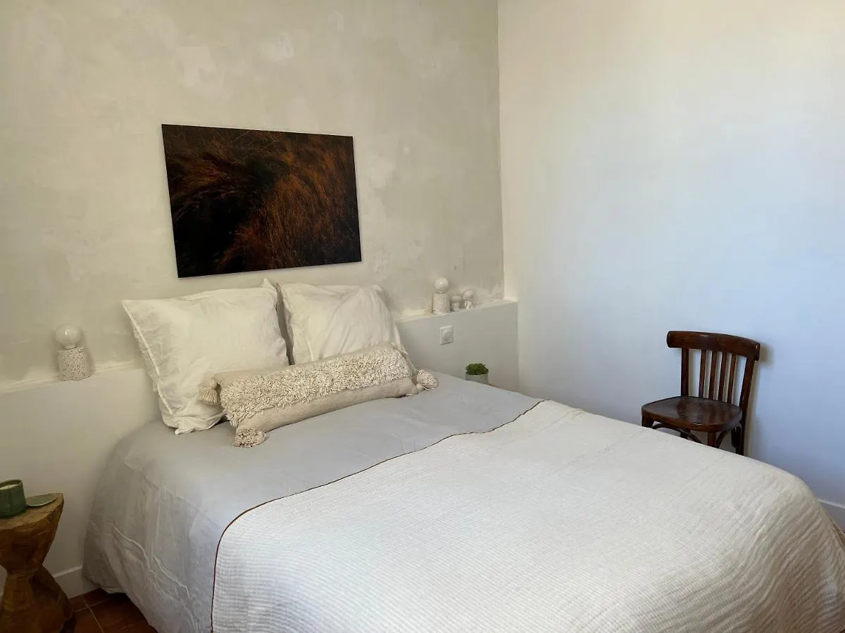 Penthouse Apartment With Large Terrace And Veranda Arles France